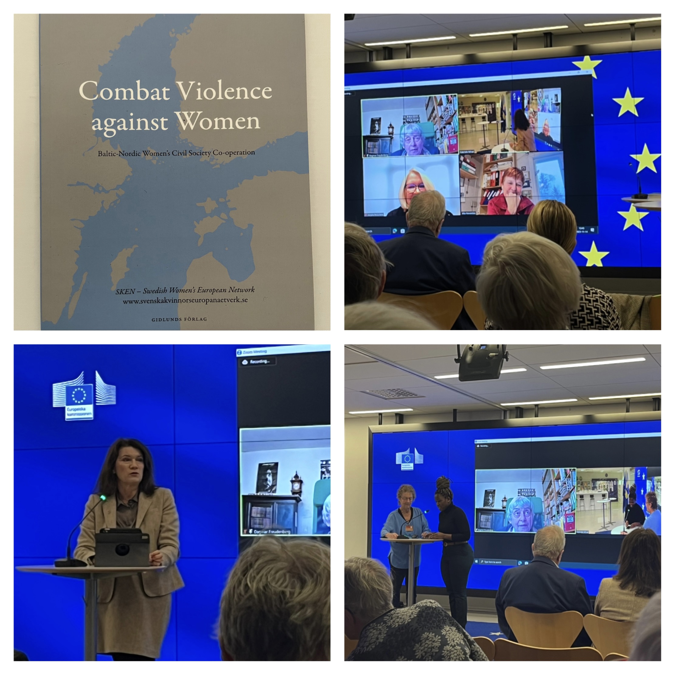 Seminariet Combat violence against women EUstrategy for gender equality
