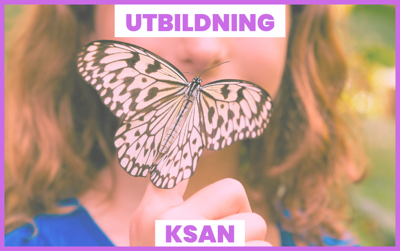 Utbildning i KSAN:s metodmaterial