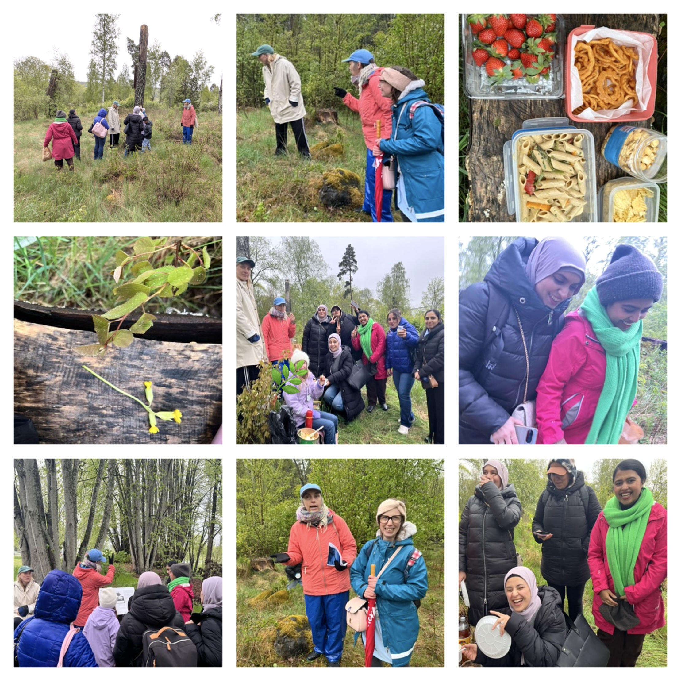 Gränslös kommunikation - gammaldags by, besök av kvinnoförening och skogsutflykt