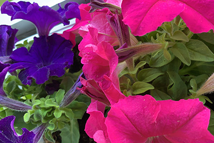 Glad Midsommar 2020 önskar KSAN